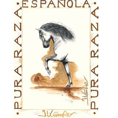 Flamenco Andalusian By Jan Kunster 19.75 x 27.5