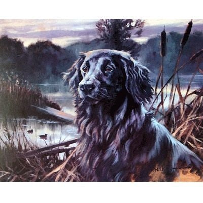 Flat Coat in the Bullrushes By Mick Cawston 12x9.5