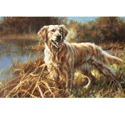 Golden Retriever By Mick Cawston 23.25 x 15