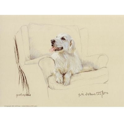 Golden Retriever on Chair 12.75 x 10.75
