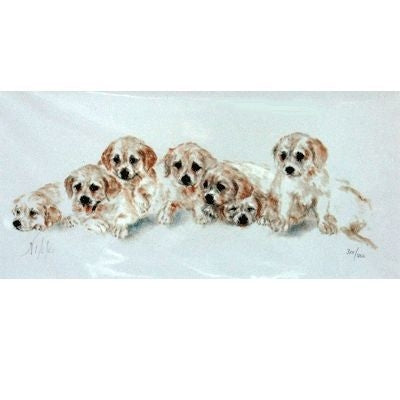 Golden Retriever Puppies By Nikki Matted 16 x 10