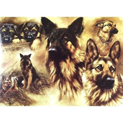 German Shepherd Blank Greeting Cards - 6 Pk 5 x 7