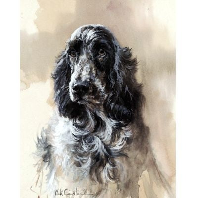 Head of Cocker By Mick Cawston 6.25 x 7.75