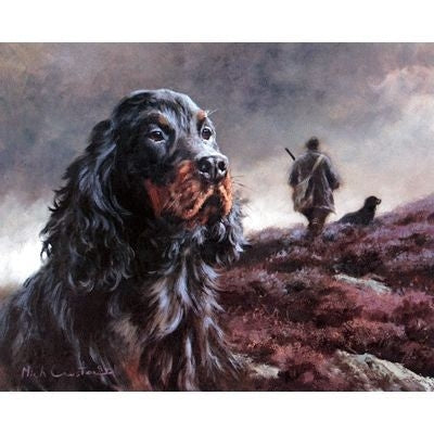 Head of Gordon Setter By Mick Cawston 10 x 8