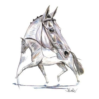Hengsttraum Dressage Matted 7.75 x 11.75