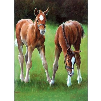 Chestnuts Blank Greeting Cards - 6 Pack 5x7