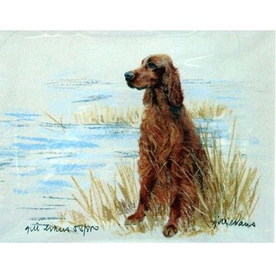 Irish Setter By Gill Evans Matted 12.75x10.75