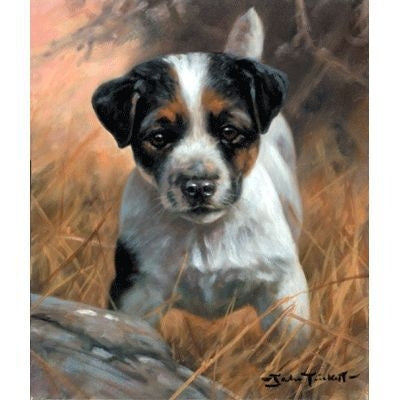 Jack Russell Pup By John Trickett 8.5x10