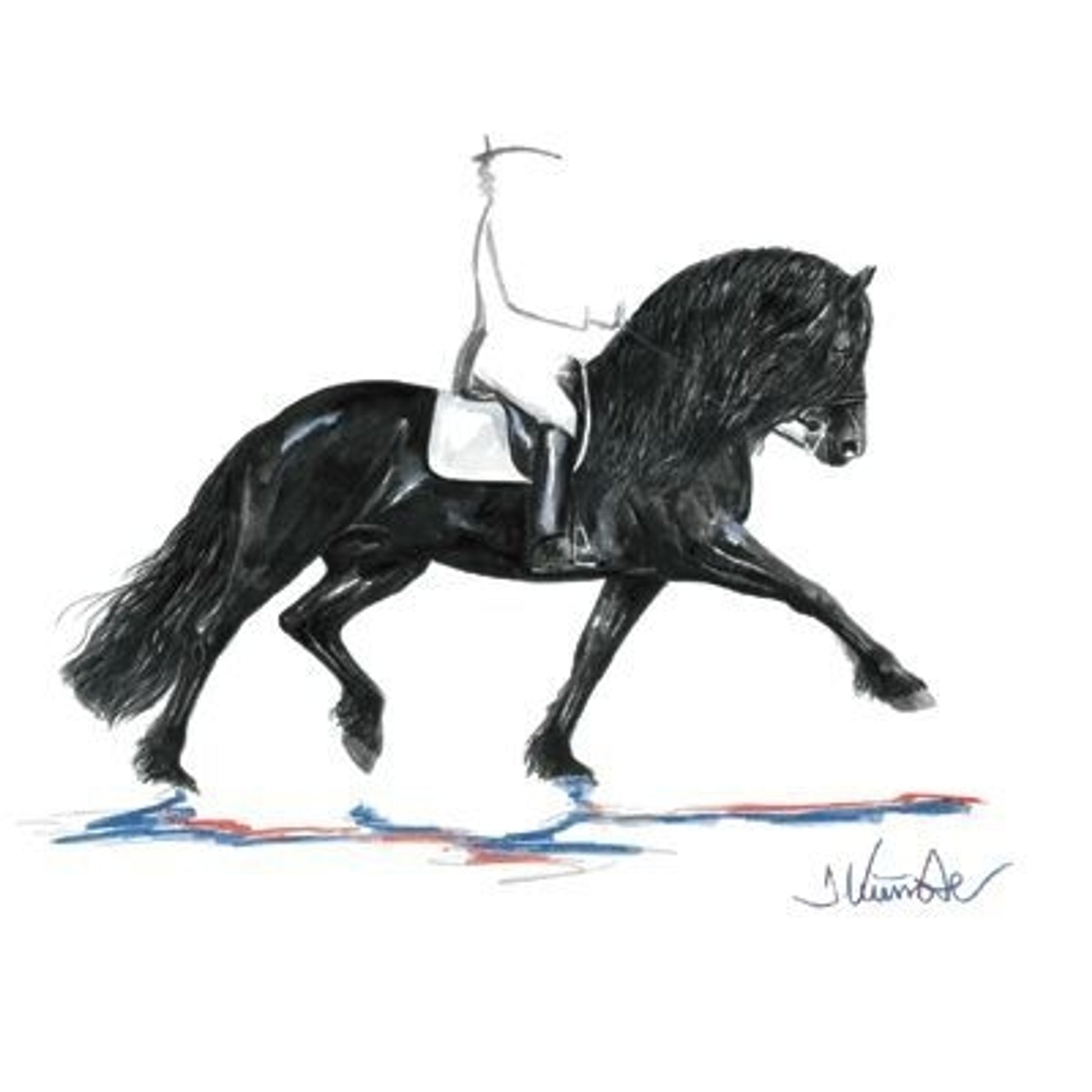 Juwel Friesian Dressage Jan Kunster 15.75x19.75