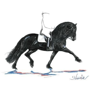 Juwel Friesian Dressage Jan Kunster 15.75x19.75