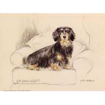 Long Haired Dachshund By Gill Evans 12.75x10.75