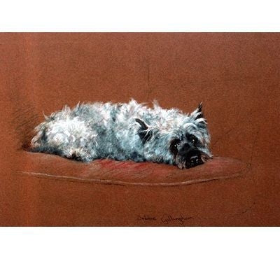 No Cairn Do By Debbie Gillingham 8x5.5