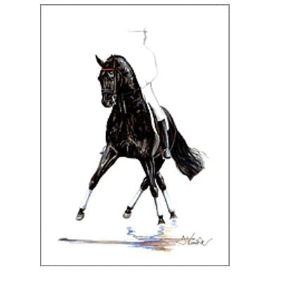 Noblesse Dressage By Jan Kunster 19.75 x 27.5