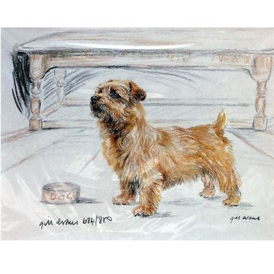 Norfolk Terrier By Gill Evans Matted 12.75 x 10.75