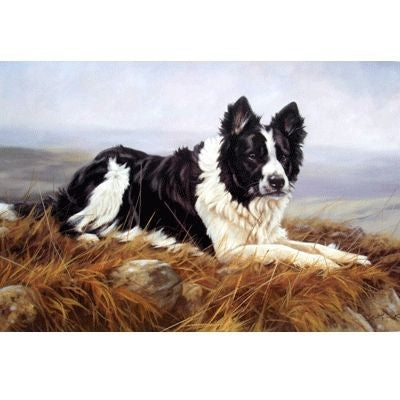 Old Man of the Hills By John Trickett 22.5 x 15