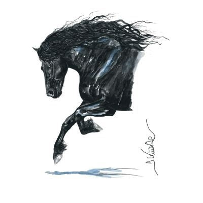 Onyx Friesian By Jan Kunster Matted 7.75 x 11.75