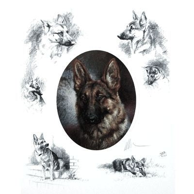 Oval German Shepherd By Mick Cawston 9.25 x 11.5