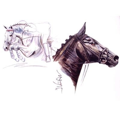 Rapido Show Jumper By Jan Kunster 19.75 x 27.5