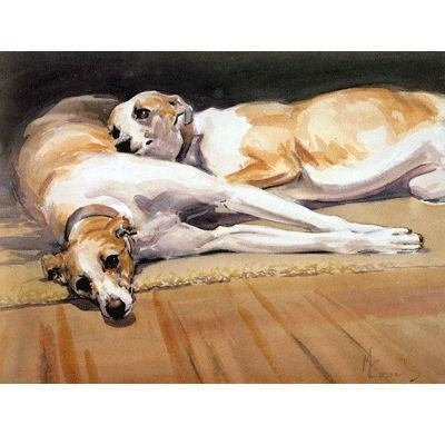 Resting 13 3/8 x 10