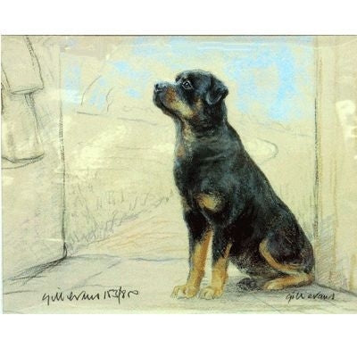 Rottweiler By Gill Evans Matted 12.75 x 10.75