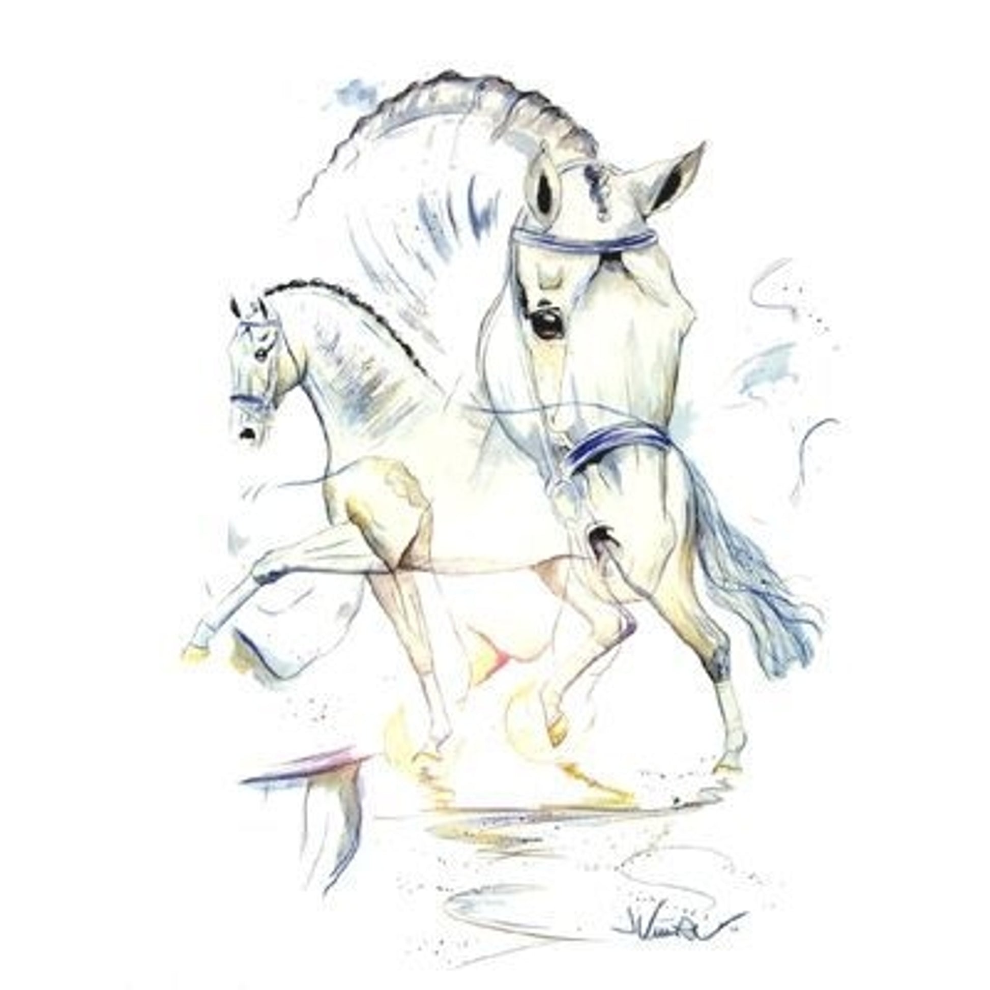 San Marino Dressage By Jan Kunster 19.75x27.5