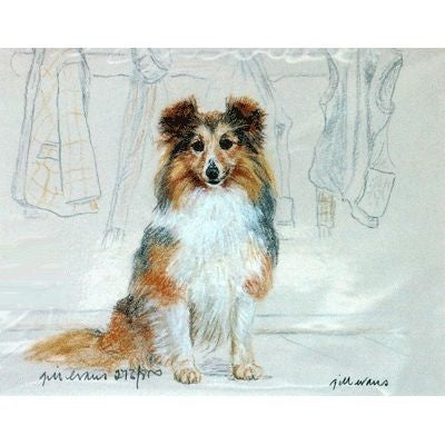 Shetland Sheepdog By Gill Evans 12.75x10.75