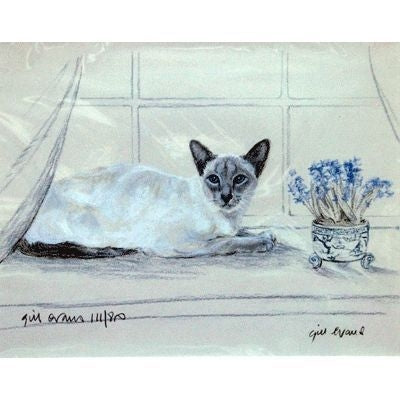 Siamese Cat By Gill Evans 12 3/4in x 10 3/4in