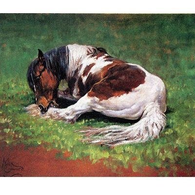 Skewbald Horse 4.5 x 3.75 Chicken