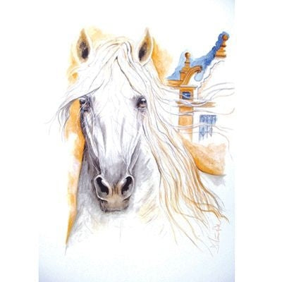 Solero Andalusian By Jan Kunster 19.75 x 27.5