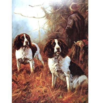 Springers at Work English Springer Greeting Cards