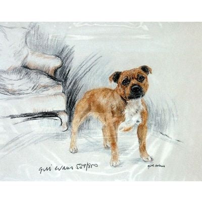 Staffordshire Bull By Gill Evans 12.75x10.75