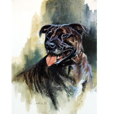 Staffordshire Bull Terrier By Mick Cawston 6.5 x 9
