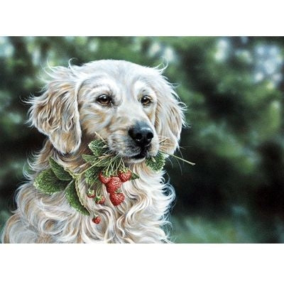 Strawberries and Cream By Paul Doyle 13 x 9.5