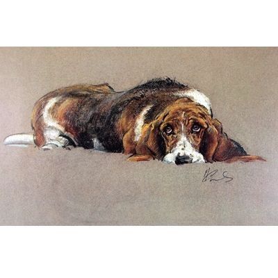 The Basset Hound By Malcom Coward 11 7/8 x 7.5