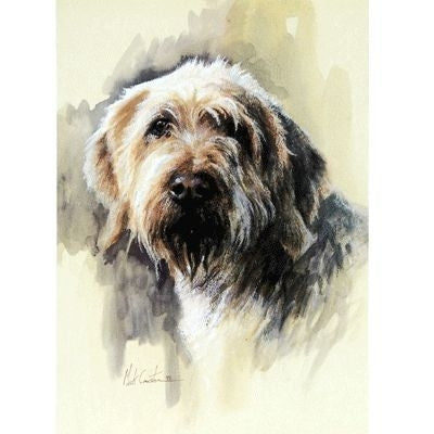 The Hairy One By Mick Cawston 6.75 x 9.5
