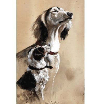 The Snob By Mick Cawston 7 x 10.75