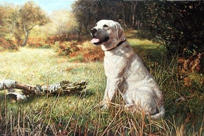The Yellow Labrador By M. N. Thackstone 19 x 12.5