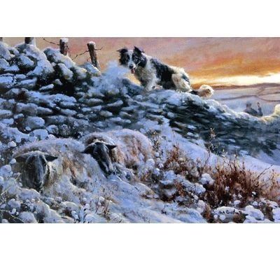 To the Rescue By Mick Cawston 10 x 15