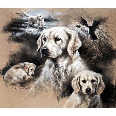 When I Grow Up By Mick Cawston 13.5 x 11.5