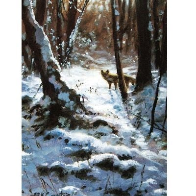 Winter Fox Blank Cards 6 Pk 5 x 7