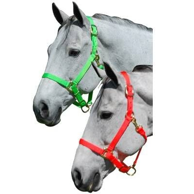 Intrepid Neon Nylon Adjustable Halter