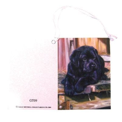 Gift Tags with String - Labrador