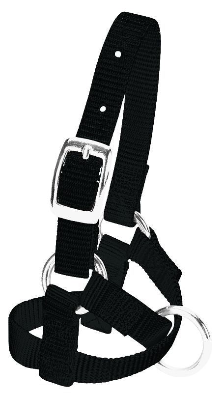 Weaver Leather Alpaca Halter