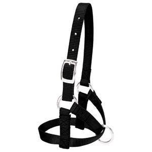 Weaver Leather Alpaca Halter