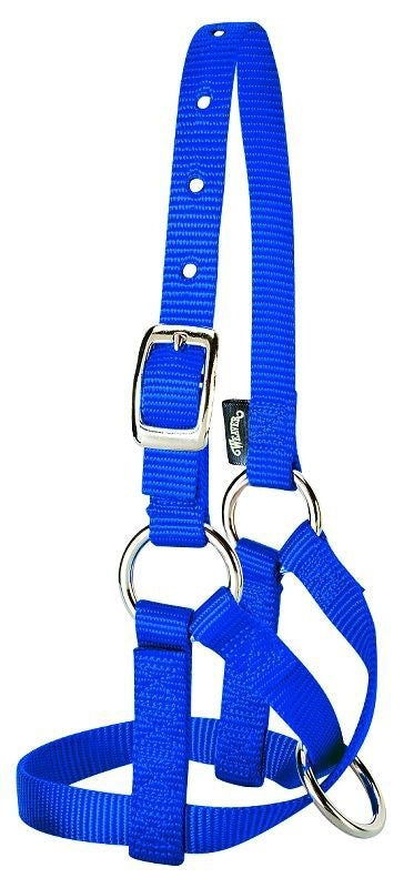 Weaver Leather Alpaca Halter