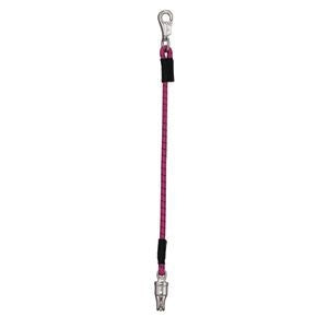 Weaver Bungee Trailer Tie