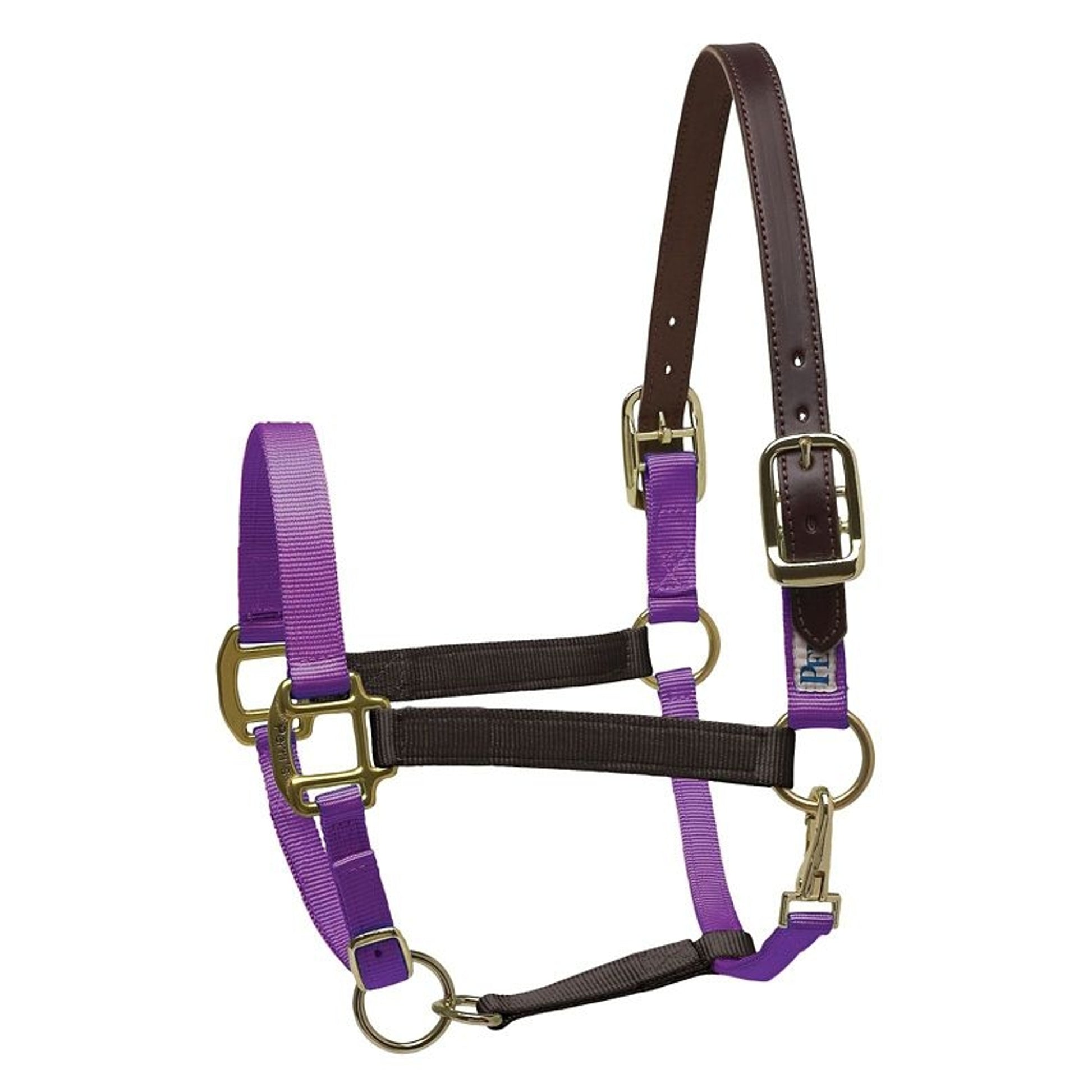 Perri's Color Vision Halter