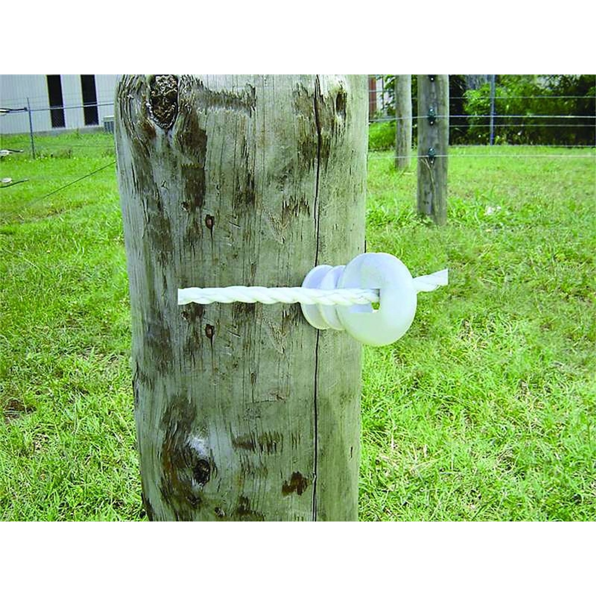 Patriot Jumbo Ring Insulator Jumbo White