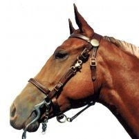 Shenandoah Trail Halter Bridle Combo Full Blk