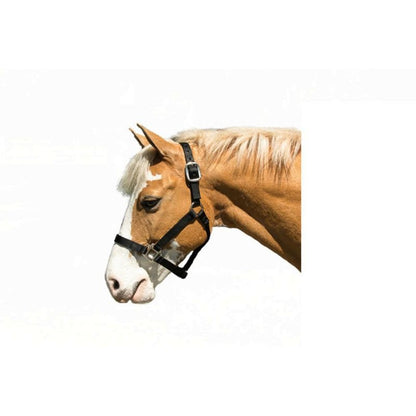 Nylon Halter Cob Navy